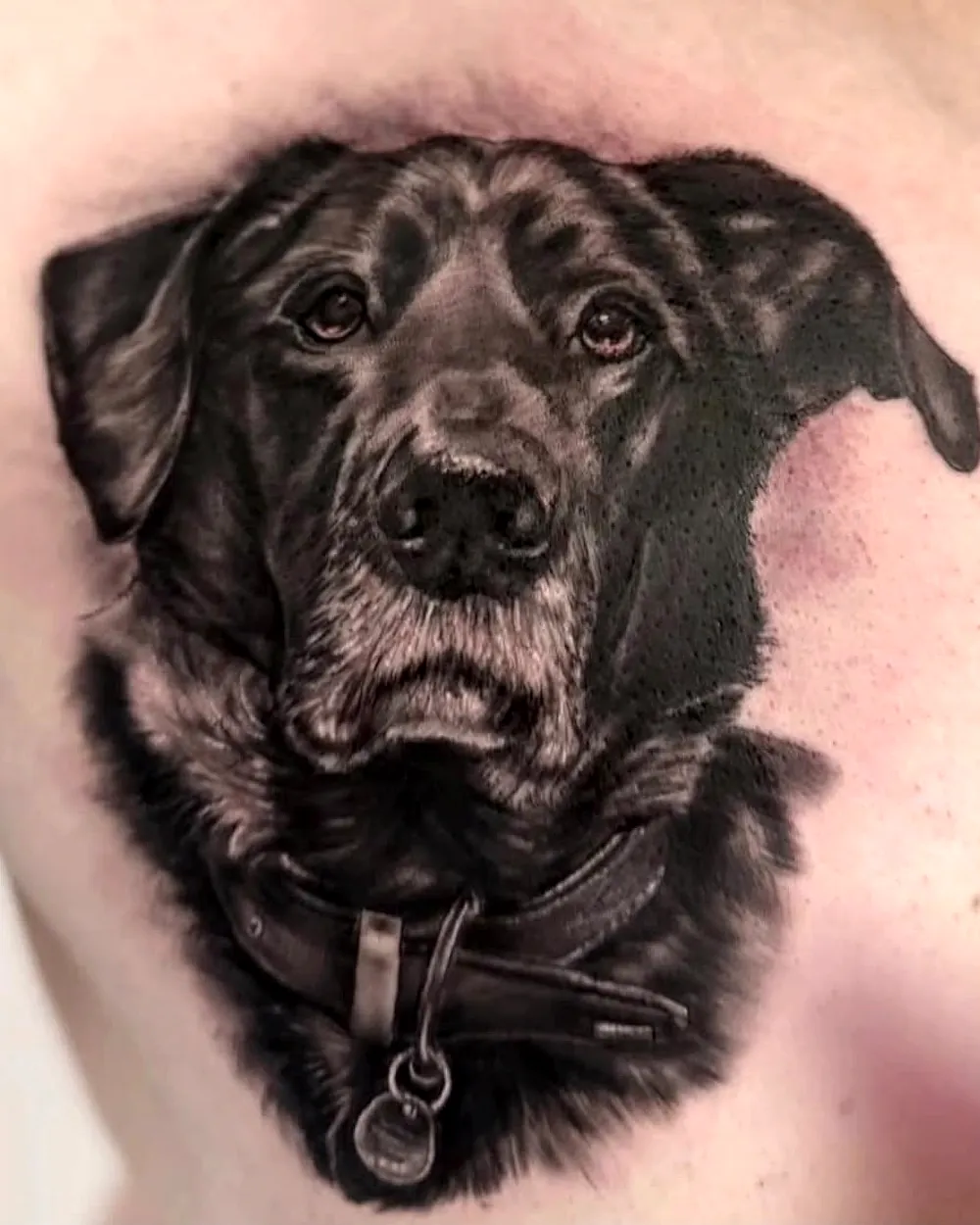 Retrato de perro — tatuaje de Jesús Ginés en negro y gris